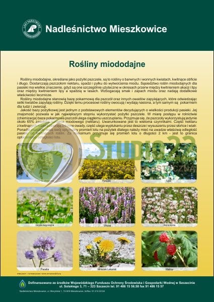 Rośliny miododajne
