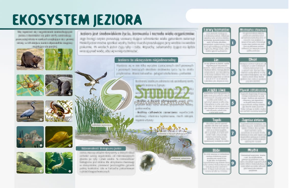 Tablica magnetyczna - "Ekosystem jeziora"