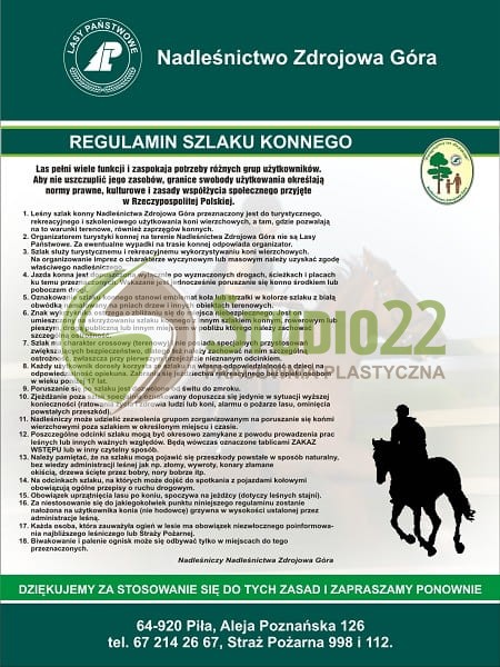 regulaminowe