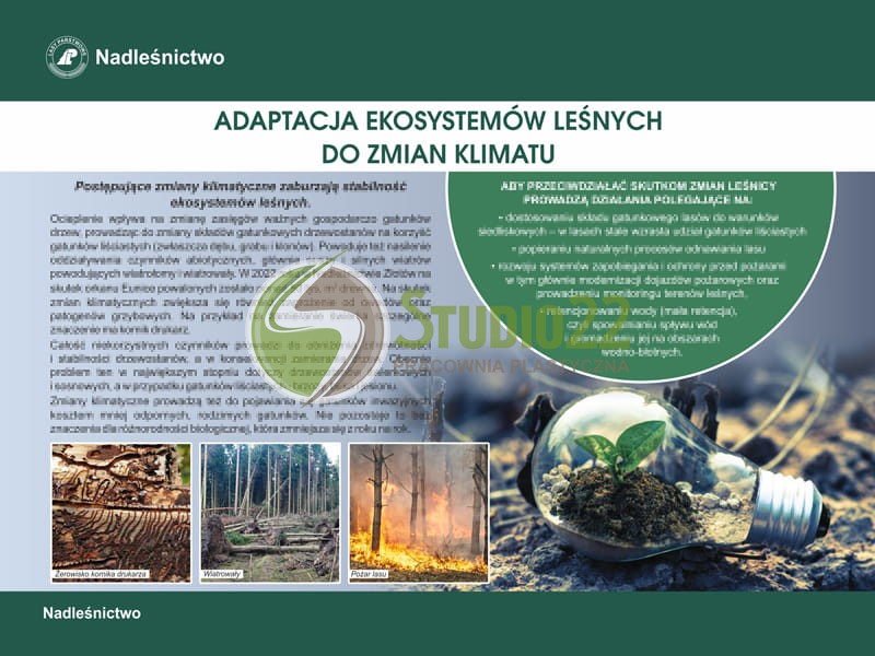 Adaptacja ekosystemów leśnych do zmian klimatu
