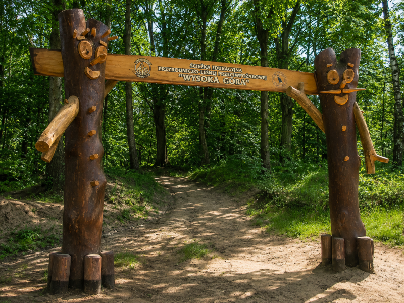 BRAMA EDUKACYJNA 09