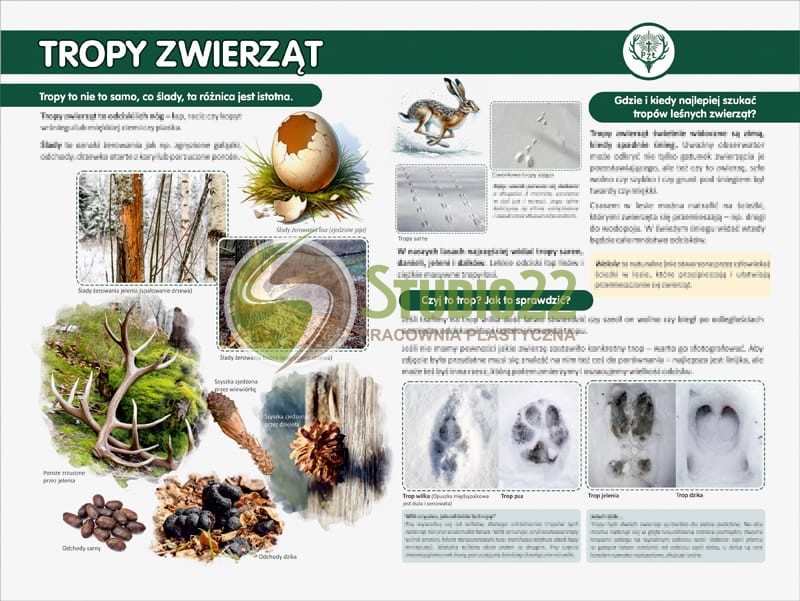 Tropy zwierząt