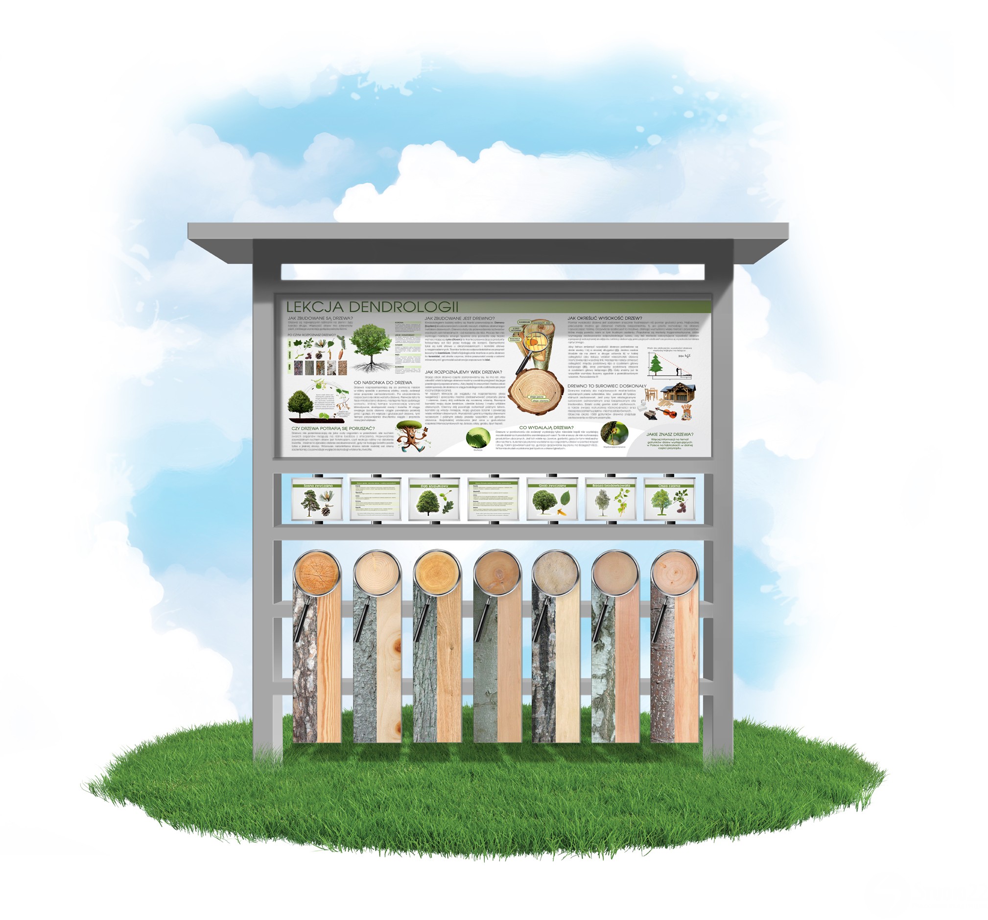 Natura Pod Lupą - Lekcja Dendrologii