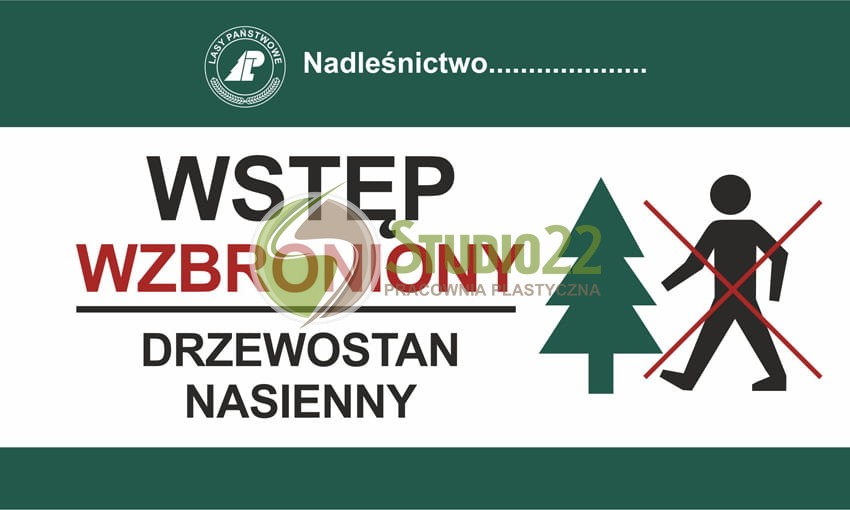 Wstęp wzbroniony - drzewostan nasienny II