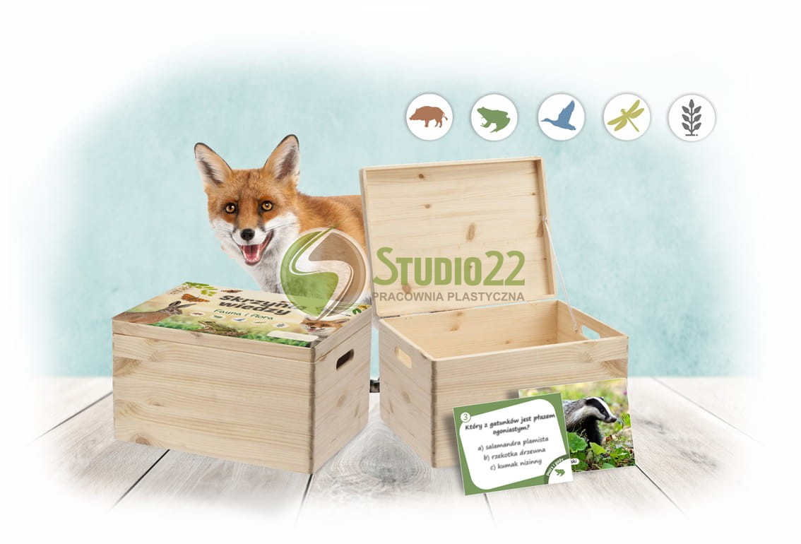 Skrzynia wiedzy - fauna i flora