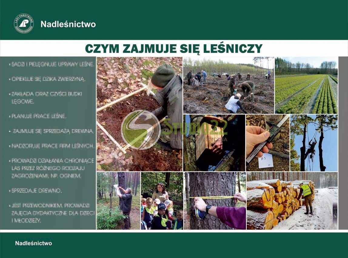 Czym zajmuje się leśniczy