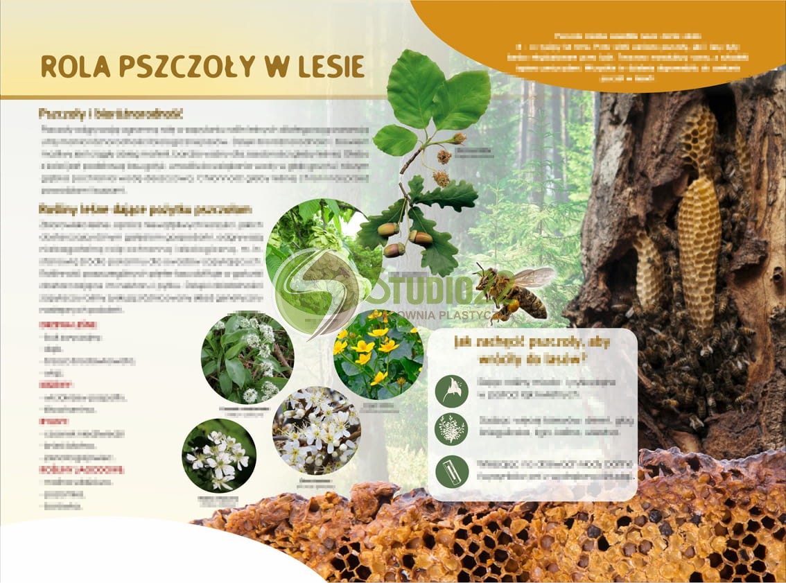 Rola pszczoły w lesie