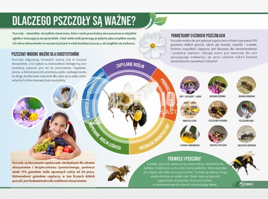Dlaczego pszczoły są ważne