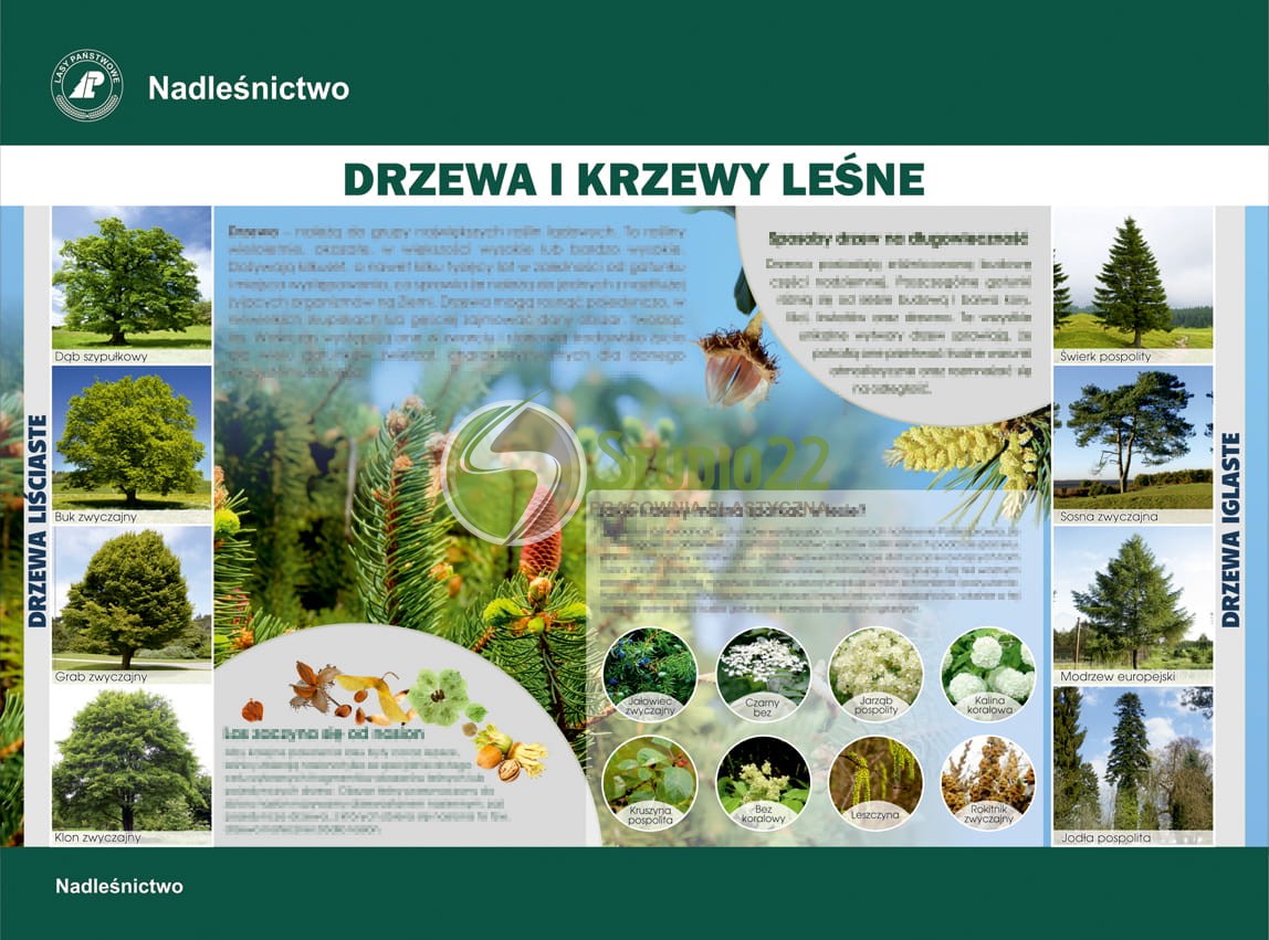 edukacyjne