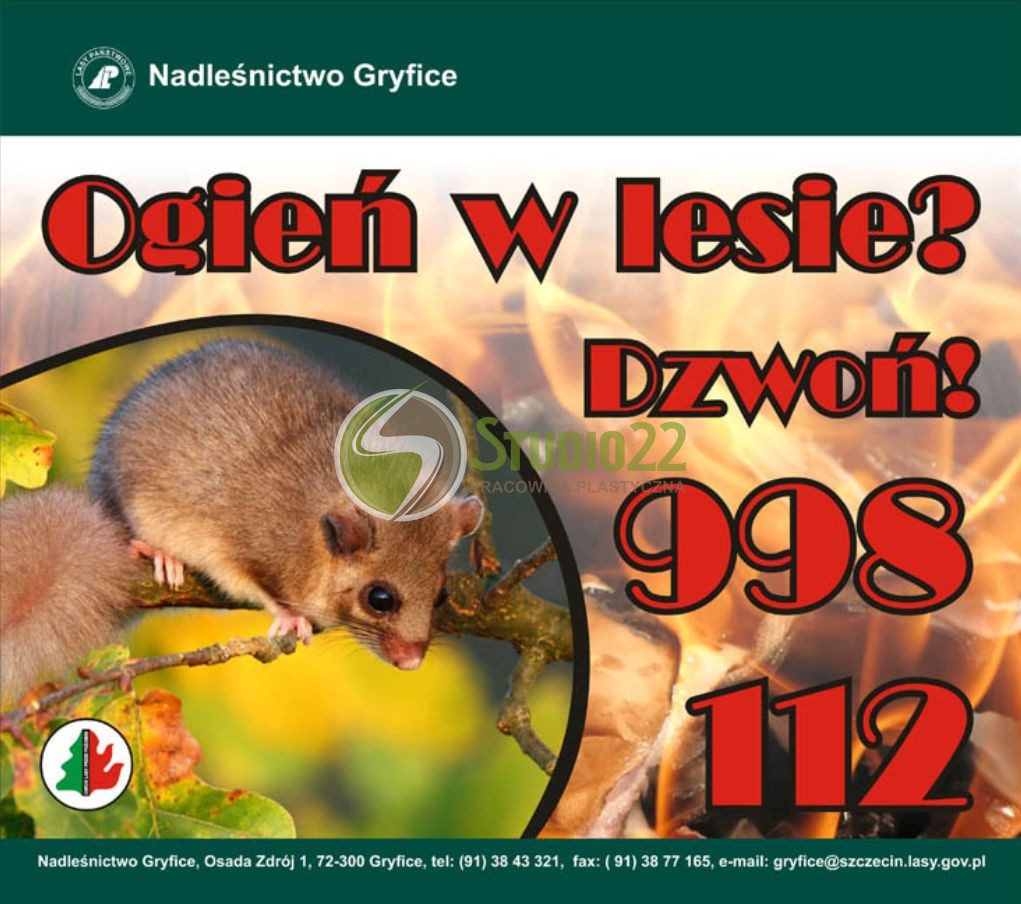Tablica przeciwpożarowa - Ogień w lesie
