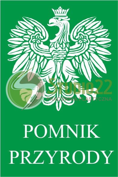 Pomnik przyrody