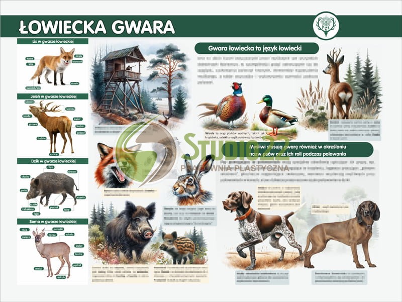 Łowiecka gwara
