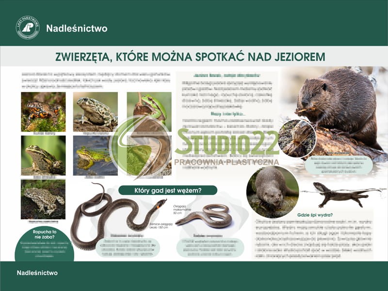 Zwierzęta nad jeziorem