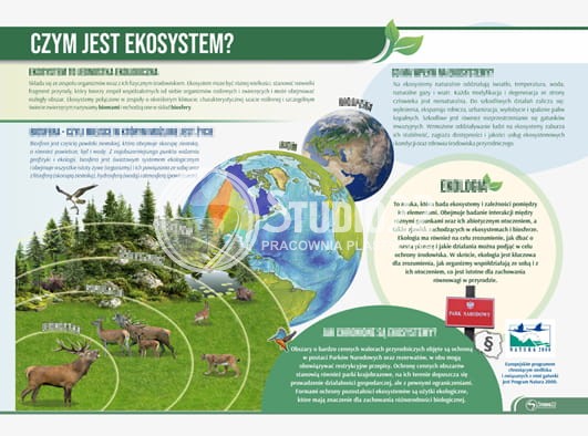 Czym jest ekosystem