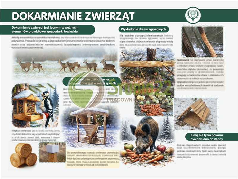 łowiectwo