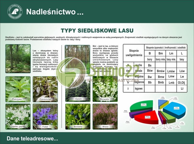 Typy siedliskowe lasu