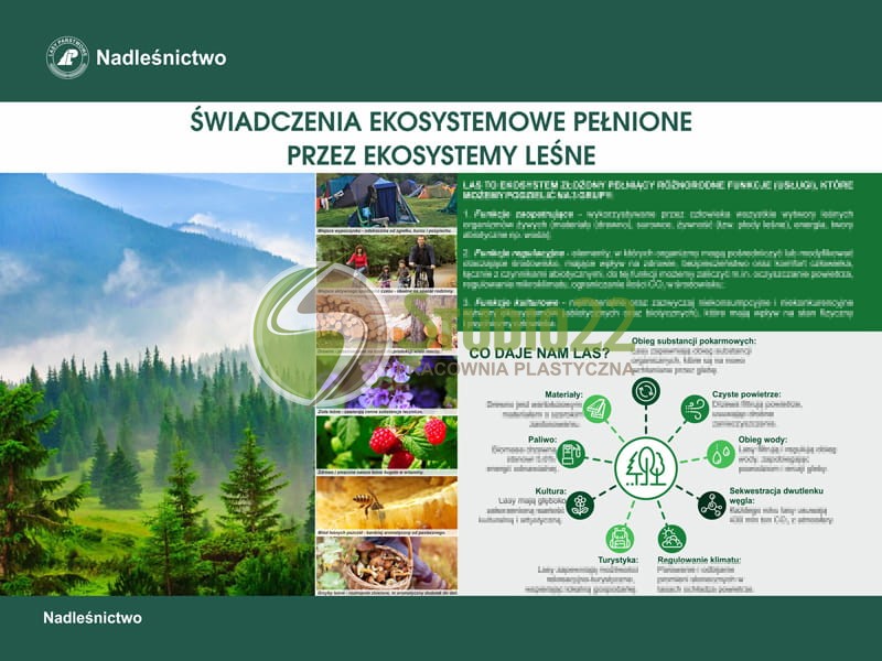 Świadczenia ekosystemowe pełnione przez ekosystemy leśne
