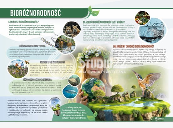 przyroda i środowisko