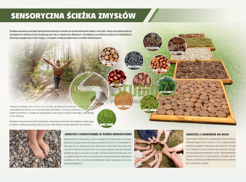 Sensoryczna ścieżka zmysłów