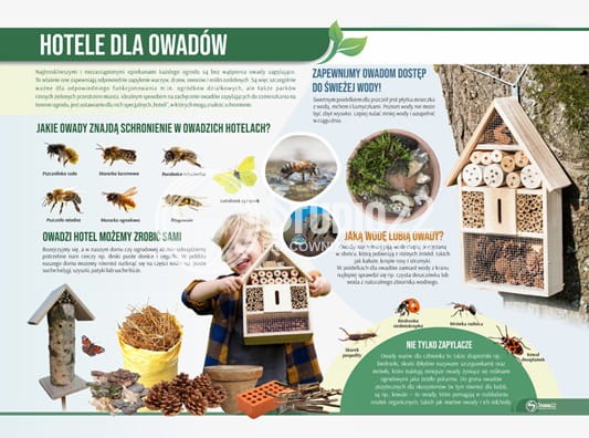 Hotele dla owadów