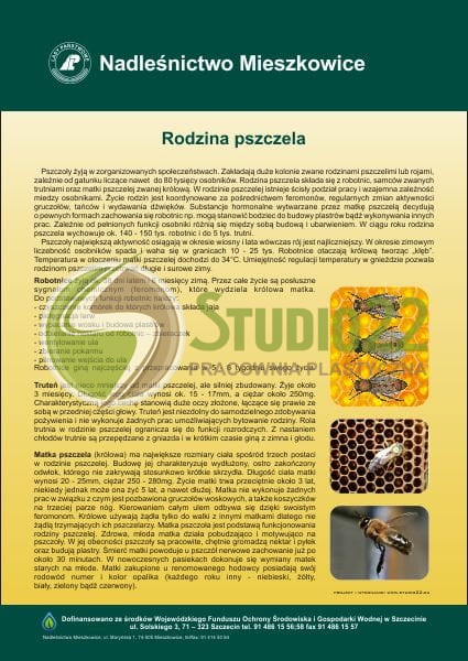 Rodzina pszczela