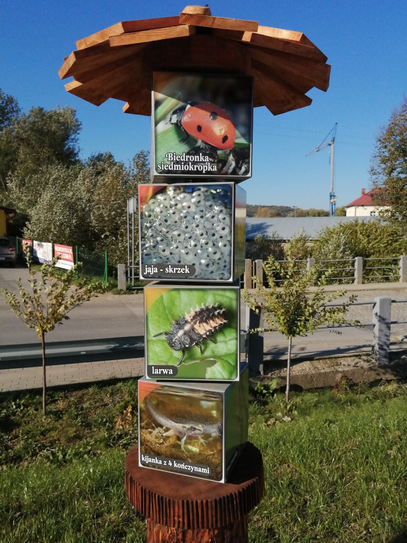 Leśna łamigłówka
