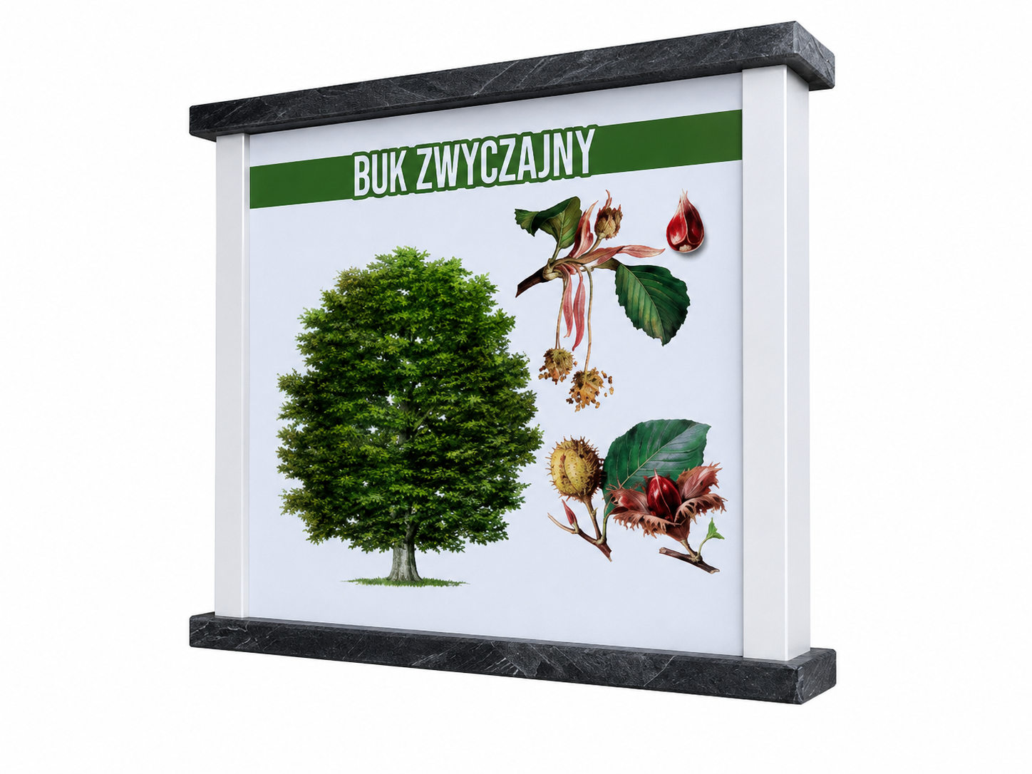 Panel edukacyjny — Studio22